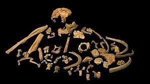 Homo antecesor (1.000.000 a.C)