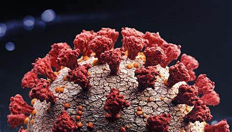 Confinament a Espanya