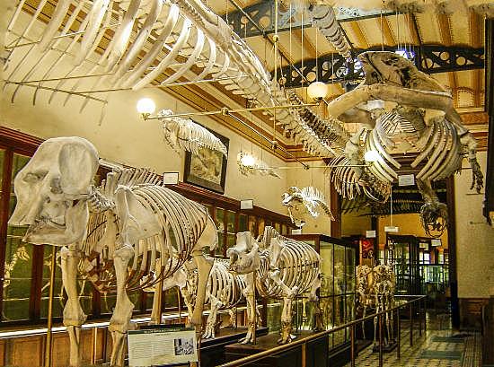 Anar al museu de la ciència d'Anglaterra