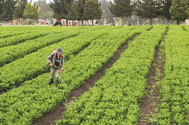 Aparece otro escándalo en Agro Ingreso Seguro