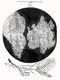 Robert Hooke
