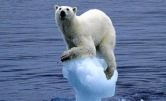 Record de superfície més reduïda a l'àrtic (climàtic)