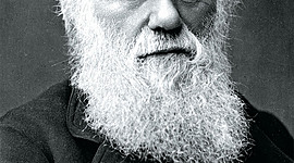 Timeline: Charles Darwin (February 12, 1808 - April 19, 1882)