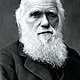Insearchofcharlesdarwin feature