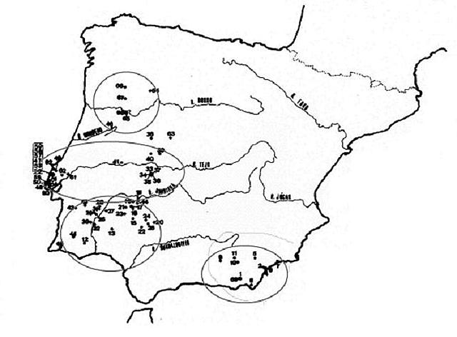 Cultura de los Millares