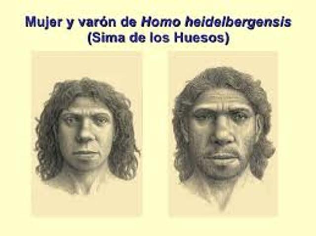 Homo heidelbergensis