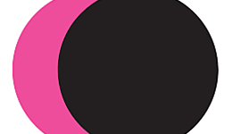 Timeline: Reinwardt tijdlijn