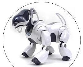 Aibo