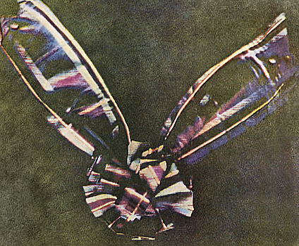 Première photographie couleur en utilisant la méthode des trois couleurs primaires