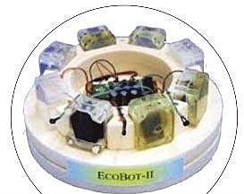 ECOBOT II