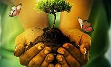 Educación en materia de Conservación