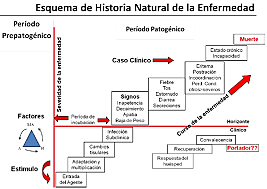 Historia Natural de la Enfermedad
