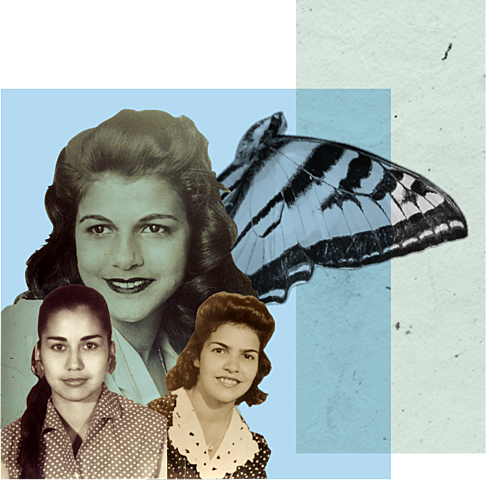 Las mariposas inolvidables