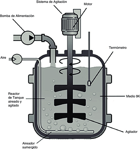 Biorreactor de tanque aireado agitado