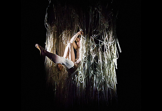 Cirkus cirkor, Suecia