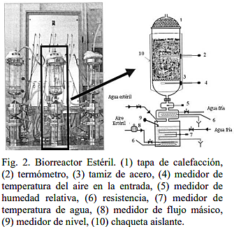 Biorreactor de Columna Estéril