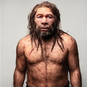 Homo neanderthalis