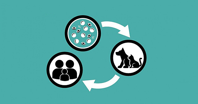 comportamiento de las zoonosis