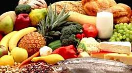 Timeline: Historia de la nutricion