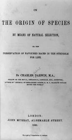Origin of Species