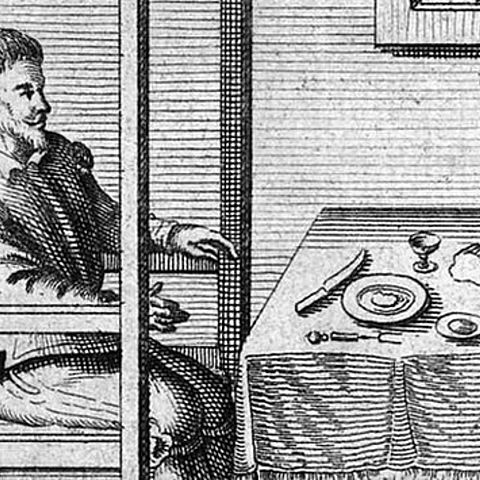 Primer acercamiento al metabolismo basal