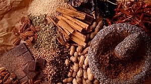 La Exportación de Nuevos Ingredientes