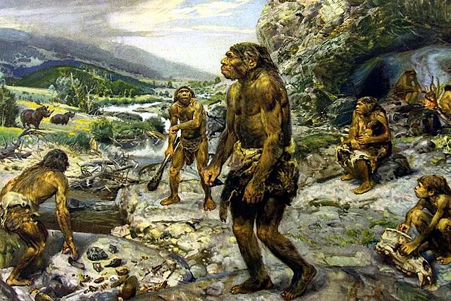 Primeros desarrollos de animales