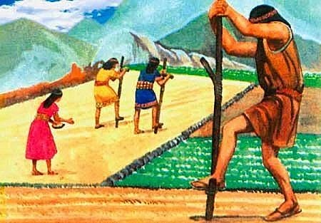 Primera aparicion de la agricultura