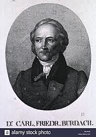 Karl Friedrich Burdach.