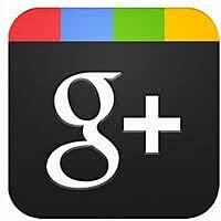 Creación de Panda- Google +