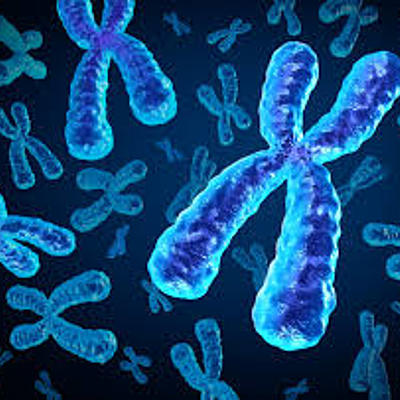 Timeline: HISTORIA DE LA GENETICA