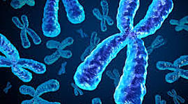 Timeline: HISTORIA DE LA GENETICA