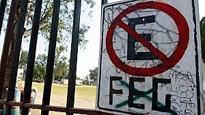 la feg se desplaza como organización mayoritaria de los estudiantes