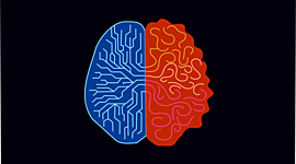 Timeline: línea de tiempo