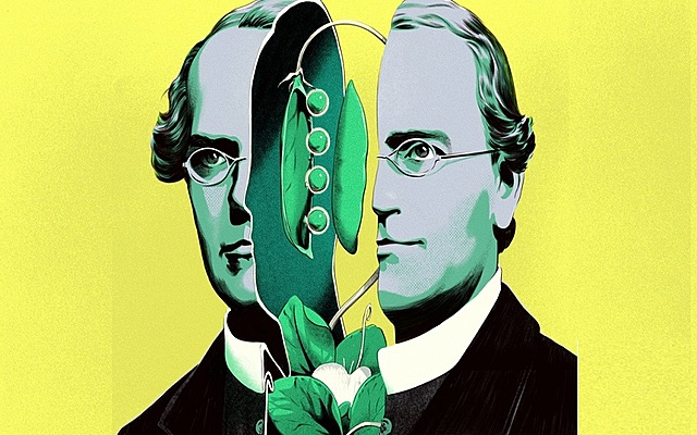 Mendel y el estudio de las plantas