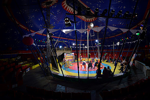 Tiranës Cirku, Albania