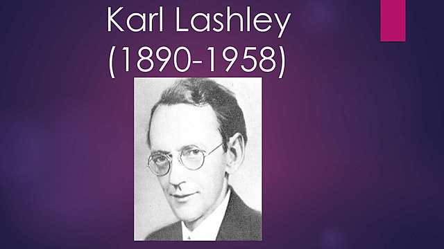 Karl Lashley (Monismo/Holismo extremo)