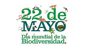 Dia internacional dela diversidad Biológica