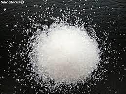 Primer biorreactor para producción industrial