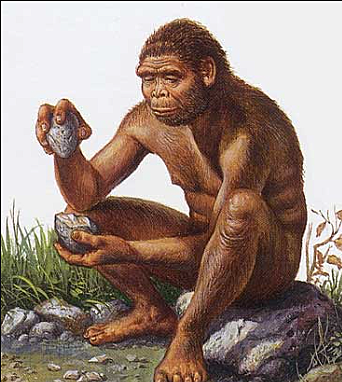 El Australopithecus  3 millones de A.C