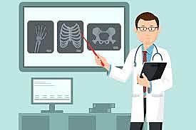 Diagnóstico curricular de la fisioterapia