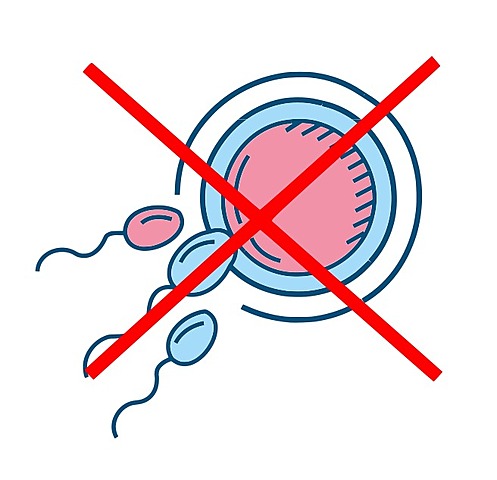 No fertilidad