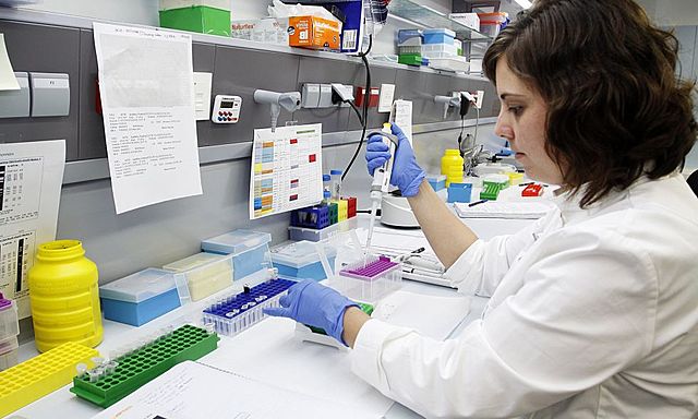 Avances de las investigaciones del ADN