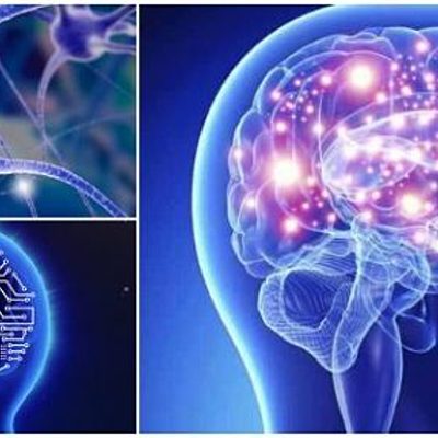 Timeline: La Neuropsicología en el tiempo ( Martha Camacho Y Estefani Escudero )