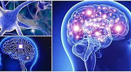 Timeline: La Neuropsicología en el tiempo ( Martha Camacho Y Estefani Escudero )