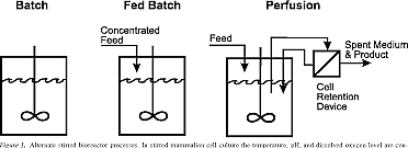 Control de biorreactores alimentados por lotes