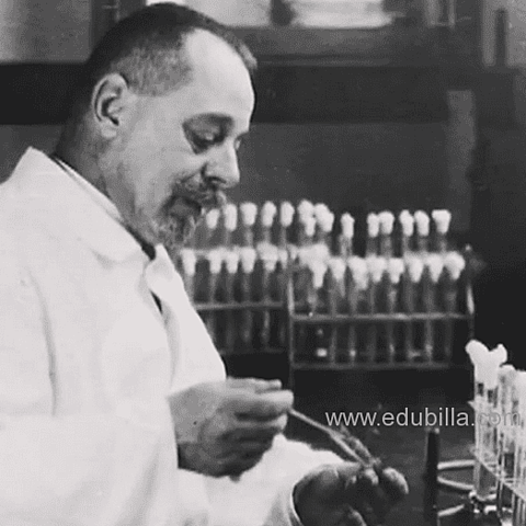 Félix Hubert D'Herelle