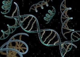 Teoria del mundo de ARN