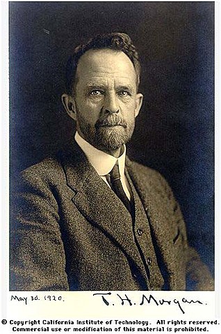 T. H. Morgan