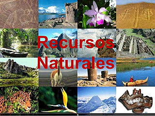 Explotación  de Recursos Naturales/1998